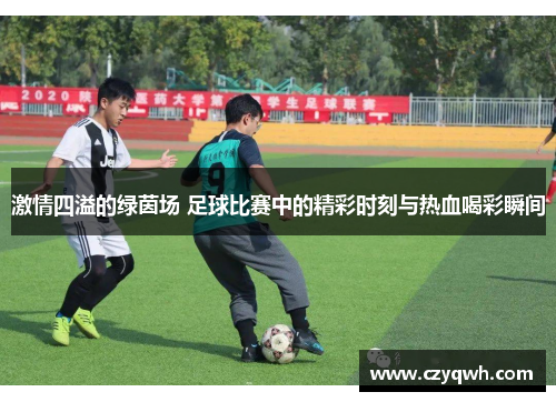 激情四溢的绿茵场 足球比赛中的精彩时刻与热血喝彩瞬间