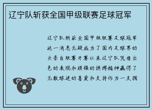 辽宁队斩获全国甲级联赛足球冠军